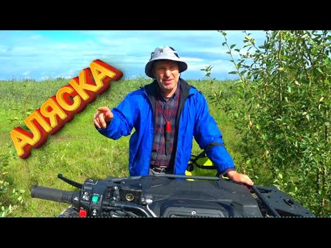 Видео: Жизнь на Аляске летом. Домашние заботы. Грибы. Рыбалка на радужную форель.