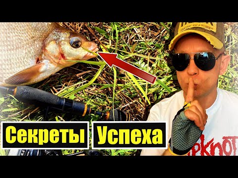 Видео: Как ЛОВИТЬ ЛЕЩА на Мормо? / Практические СОВЕТЫ и ТАКТИКА Ловли #мормышинг