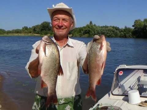 Видео: По КАДЫШЕВУ от ВЫХОДА до ВХОДА на ТЯЖЕЛОЙ лодке