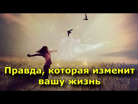 Видео: Правда, которая изменит вашу жизнь. Хватит врать самому себе.