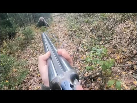 Видео: 💥 Встреча с МЕДВЕДЕМ в лесу... ( bear attacks russian man )