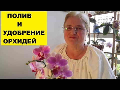 Видео: ПОЛИВ И УДОБРЕНИЕ ОРХИДЕЙ ФАЛЕНОПСИСОВ... НИКОГДА ТАКОГО НЕ БЫЛО - И ВОТ ОПЯТЬ