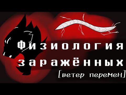 Видео: Фазы заражения плотоядным паразитом - Ветер перемен