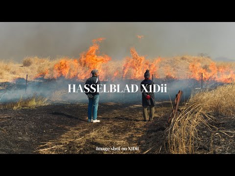 Видео: Hasselblad X1Dii против X2D