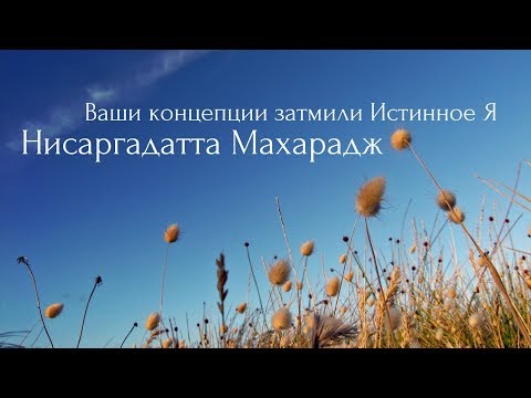 Видео: Ваши концепции затмили Истинное Я. Нисаргадатта Махарадж — Ничто есть Всё