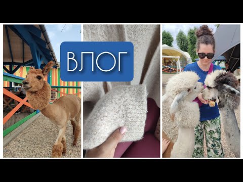 Видео: Влог 17. Альпаковая ферма💫 Готовый кардиган💖 Готовые работы💙 Рекомендации ☘️