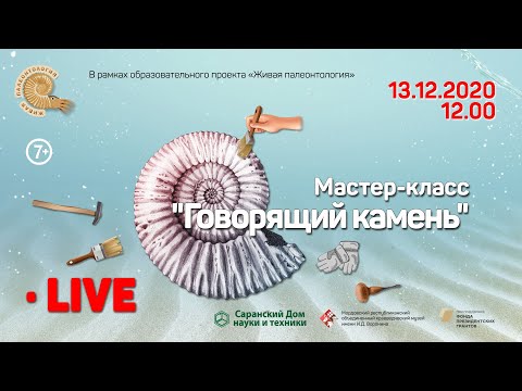 Видео: Мастер-класс по препарации окаменелостей "Говорящий камень"