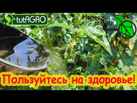 Видео: ЭТИ ПОДКОРМКИ ВООБЩЕ НИЧЕГО НЕ СТОЯТ! Чем подкормить весь огород бесплатно.