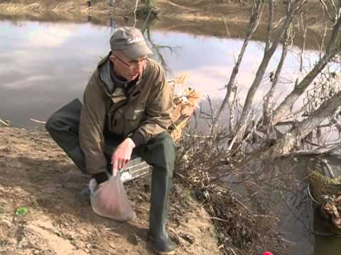 Видео: Рыбак рыбаку 351 "Весенний поплавок. Уклейка".