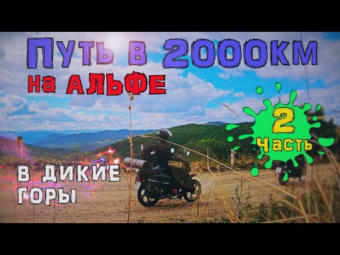 Видео: Дальняк на альфе в ГОРЫ🏕️Поворот не туда. Мотопутешествие Филимона Часть 2