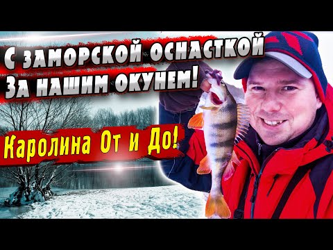 Видео: Каролинская оснастка | Ловля окуня | Денис Вихров