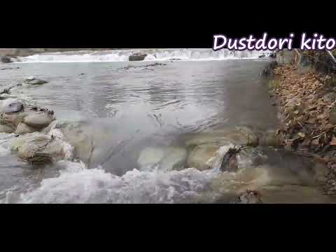 Видео: лола азизова нилуфари ман لاله عزیزوا