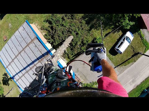 Видео: Ель. Всегда много веток и веревки в смоле.
