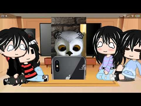 Видео: реакции родителей на ЛиЛео