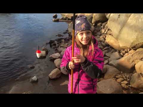 Видео: Рибалка / Fishing