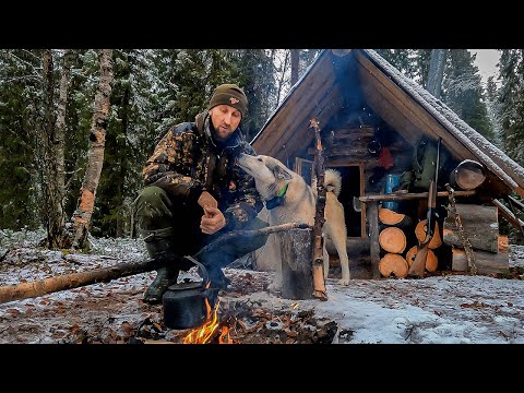 Видео: СТАВЛЮ КАПКАНЫ В РАЙОНЕ ИЗБЫ ГЛУХАРИНОЙ. РАЗБОЙ ВОЗВРАЩАЕТСЯ. СУМАСШЕДШИЕ ДЯТЛЫ.