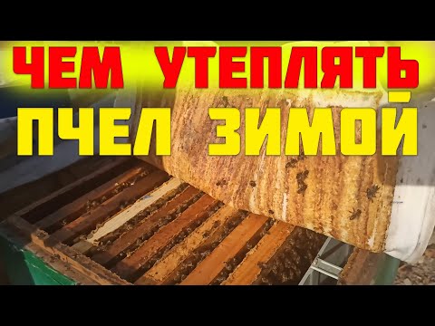 Видео: Как утеплять улья с пчел зимой. Холодной зимовки решает проблему сырости и раннего расплода зимой