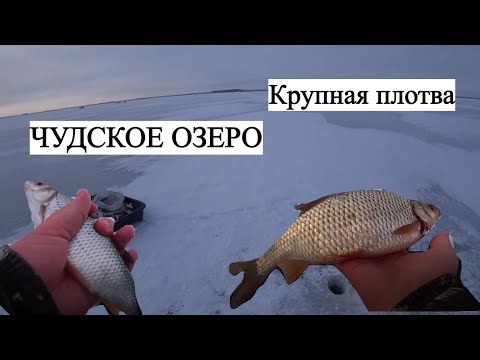 Видео: Рыбалка на Чудском озере!(Ряпина)Отличный клёв Крупной плотвы на мормышку!
