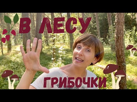 Видео: Пальчиковая гимнастика для детей В ЛЕСУ. Пальчиковая игра ГРИБОК. Развивающее видео для детей.