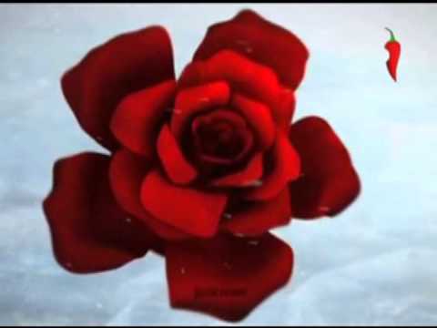Видео: Заставки (Перец, зима 2014-2015)