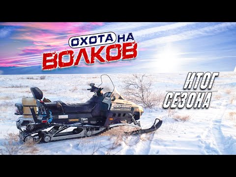 Видео: охота на волков!итоги сезона.ВСЕ ВЫСТРЕЛЫ !!!