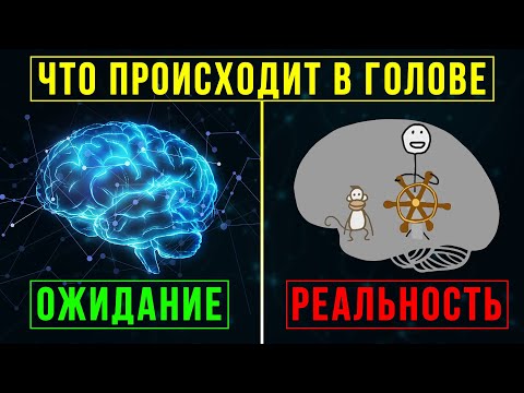 Видео: Почему мы постоянно откладываем дела на потом? Главная причина прокрастинации!