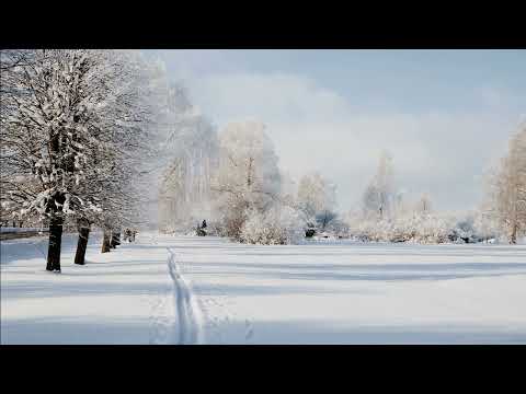 Видео: Скрип снега под ногами [real sound]