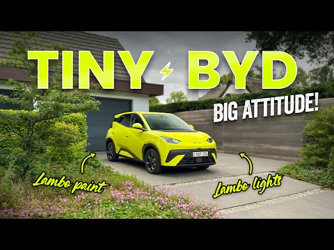 Видео: BYD Dolphin Surf — не просто маленький городской автомобиль! ⚡️