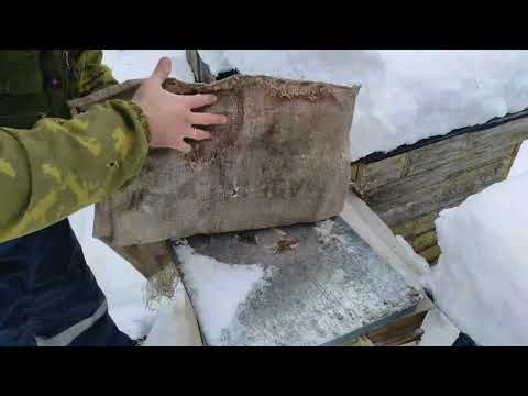 Видео: Пчеловодство.Как зимуют пчёлы на улице.Первые результаты холодной зимовки.Исправление косяков #пчёлы