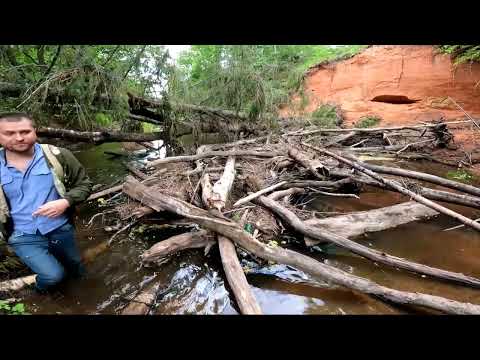 Видео: Рыбалка на спиннинг на речке Ящера