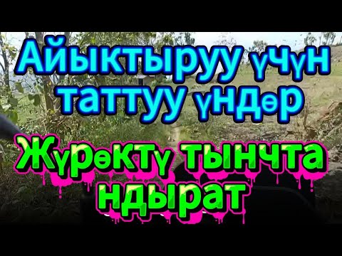 Видео: Айыктыруу үчүн таттуу үндөр Жүрөктү тынчтандырат