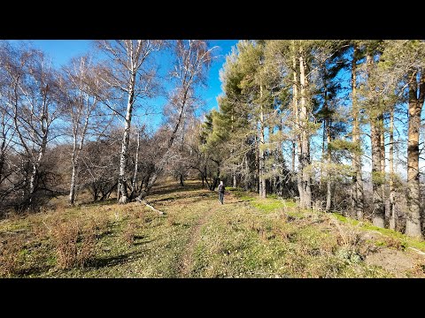 Видео: Ремизовское ущелье - Кок Жайляу - Аккаин