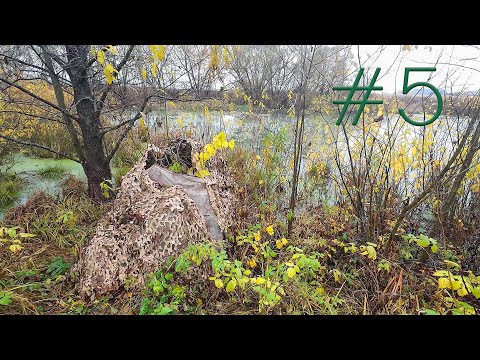 Видео: #5 Учусь охоте на утку #охота #hunting #VadimVak #Vakula #VakuLafe