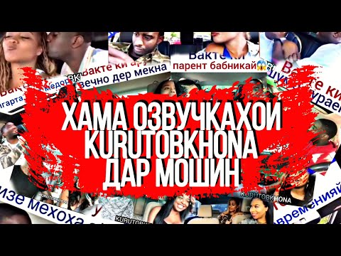 Видео: Подборка Хама озвучкахои переводи хар дар мошин, Курутобхона Переводи Точики Приколи хар Тарчума