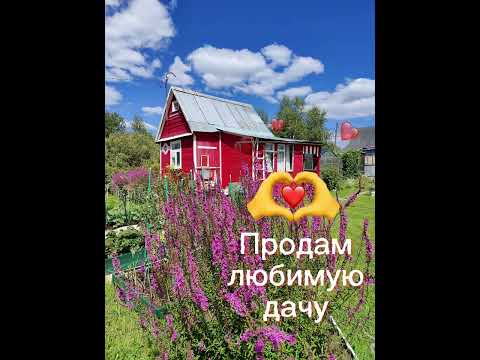 Видео: Продаём любимую дачe.