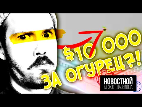 Видео: ОГУРЕЦ НА ПОТОЛКЕ ЗА $10000 || Сделайте инстаграм инстаграмом
