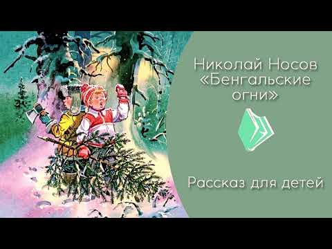 Видео: Бенгальские огни. Н. Носов.