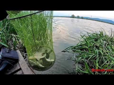 Видео: Риболовен Гергьовден