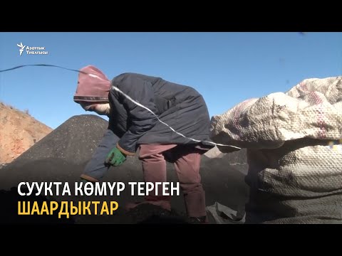 Видео: Суукта көмүр терген шаардыктар