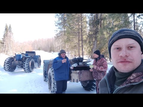 Видео: Заправка солонцов по насту
