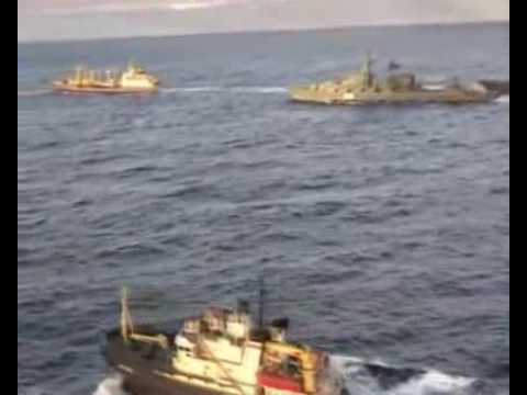 Видео: Морская душа
