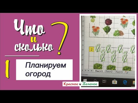 Видео: Планируем посадки в огороде. Совмещенные и уплотненные посадки, компаньоны. Ч1