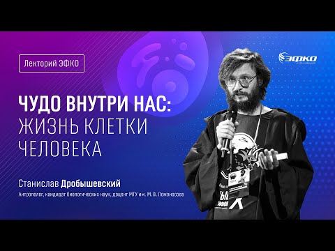 Видео: Лекторий «ЭФКО». «Чудо внутри нас: жизнь клетки человека» – доцент МГУ Станислав Дробышевский