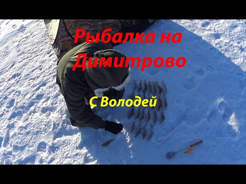 Видео: Зима на Димитрова