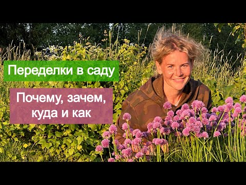 Видео: На что меняю сирень сортовую. Почему убираю горизонтальный можжевельник. Как выросли хосты за 7 лет