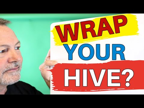 Видео: Пчеловодство | Стоит ли укрывать улей на зиму?