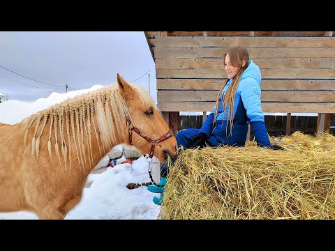 Видео: Конюшенные будни 💪| Спасаем крышу сенника КоноVLOG