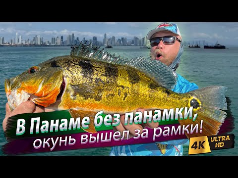 Видео: 🇺🇸🇵🇦 Рыбалка Озеро Гатун, Панама. По пути в Амазонию.
