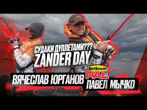 Видео: СУДАКИ ДУПЛЕТАМИ??? Второй тур PAL2025. ZANDER DAY