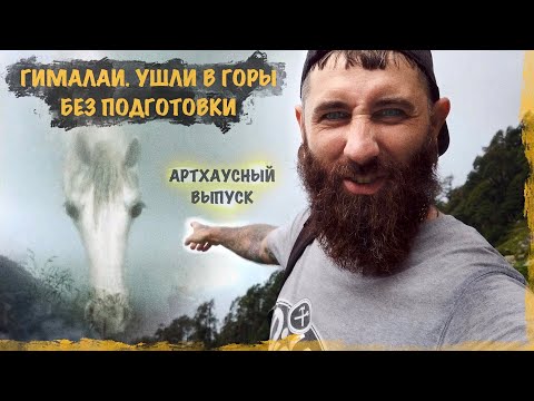 Видео: ГИМАЛАИ. Ушли в горы без подготовки. Плато Триунд, Дхарамсала. Выпуск с одышкой!